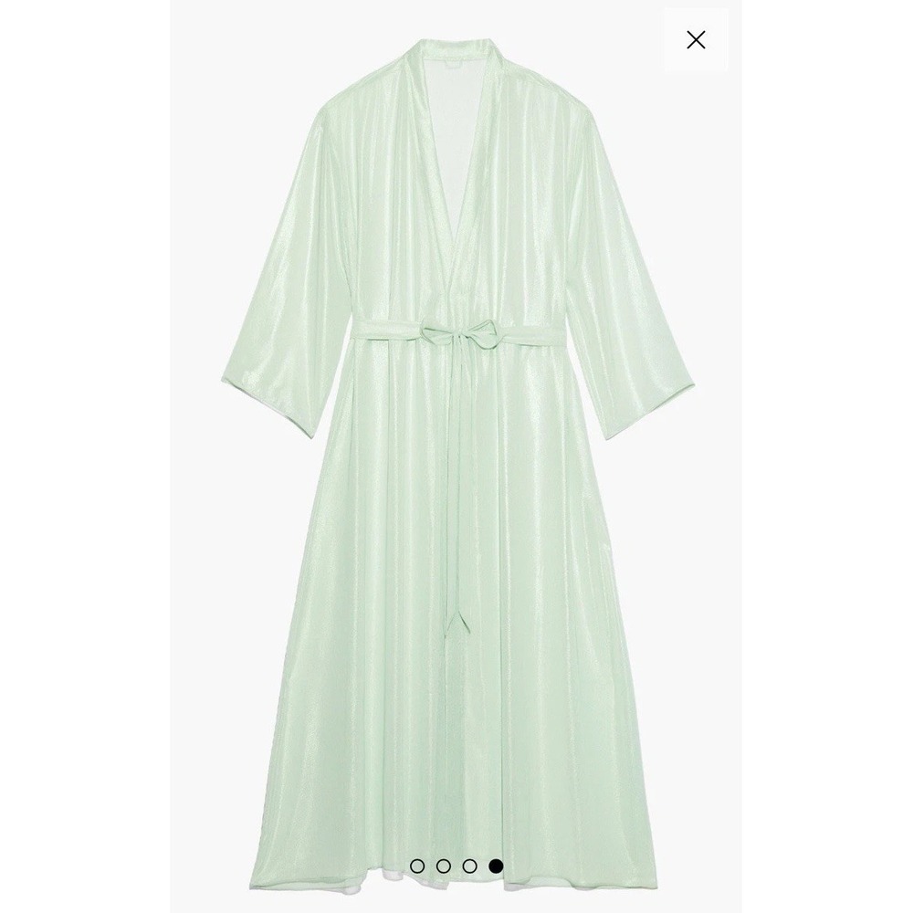 Savage x Fenty Going Platinum Robe Green Mesh Sheer Belted Sz XL/1X NWT - Picture 3 of 4